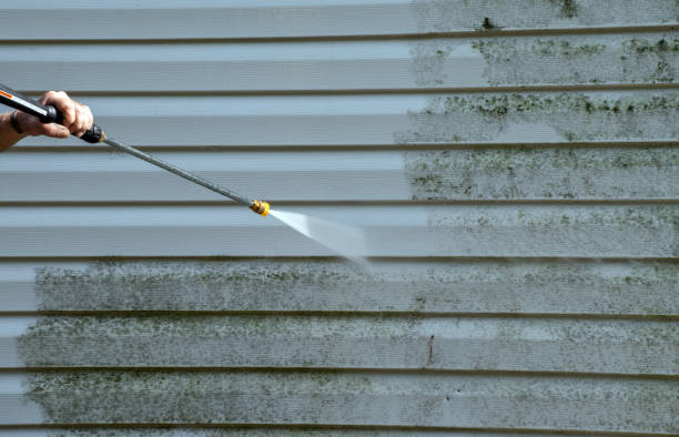 Best Affordable Power Washing  in Pocahontas, IA