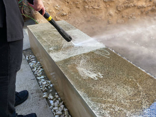 Best Roof Pressure Washing  in Pocahontas, IA