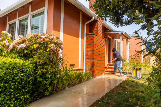 Best House Pressure Washing  in Pocahontas, IA